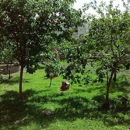 Sunny garden studio Athena Bagian luar foto