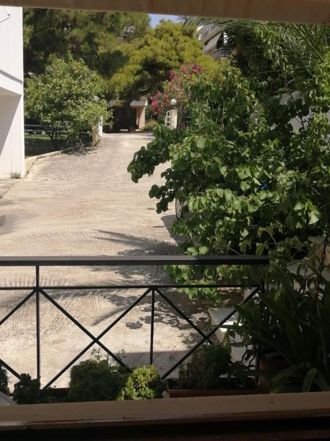 Sunny garden studio Athena Bagian luar foto