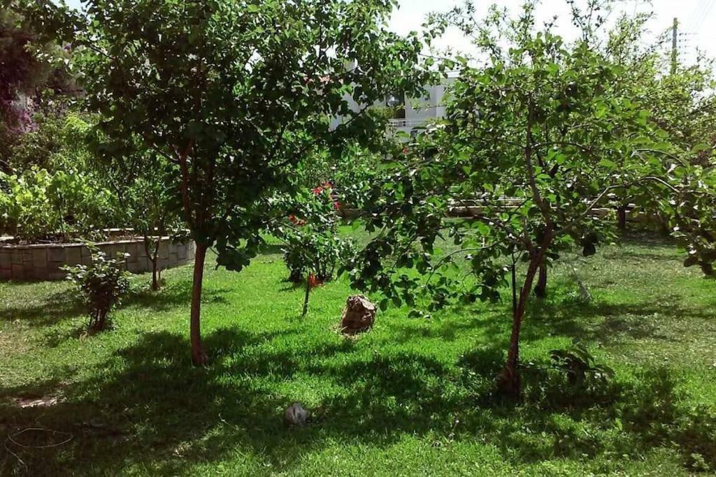 Sunny garden studio Athena Bagian luar foto